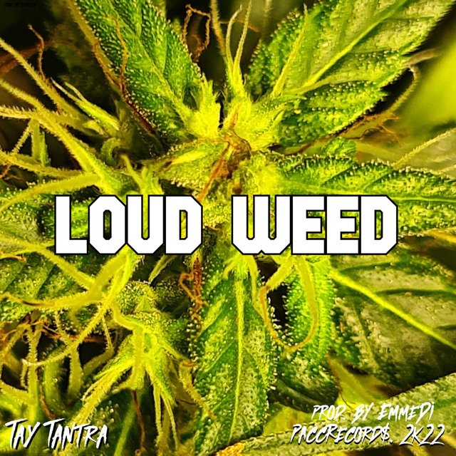 LOUD WEED