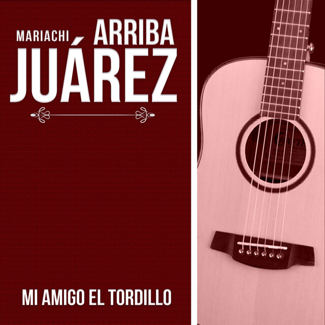 Mi Amigo El Tordillo