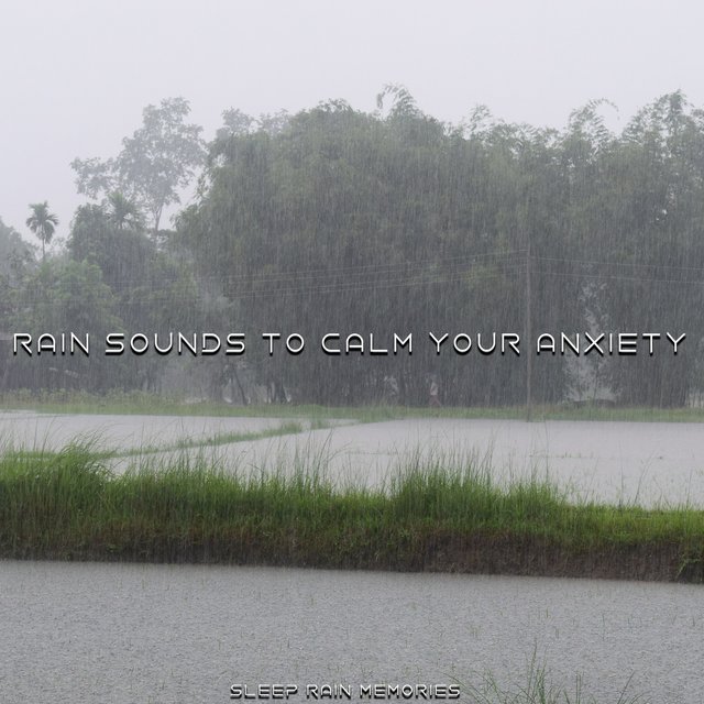 Rain Sounds to Calm Your Anxiety