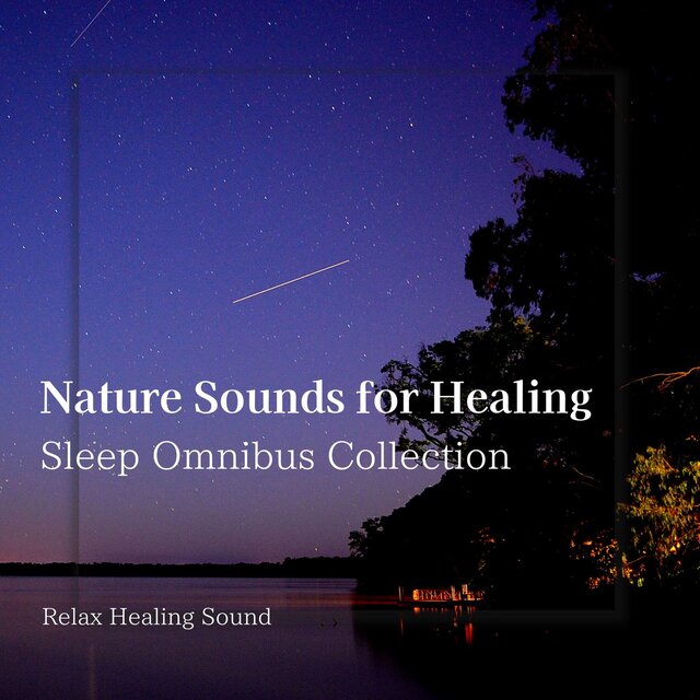 Nature Sounds for Healing - Sleep Omnibus Collection