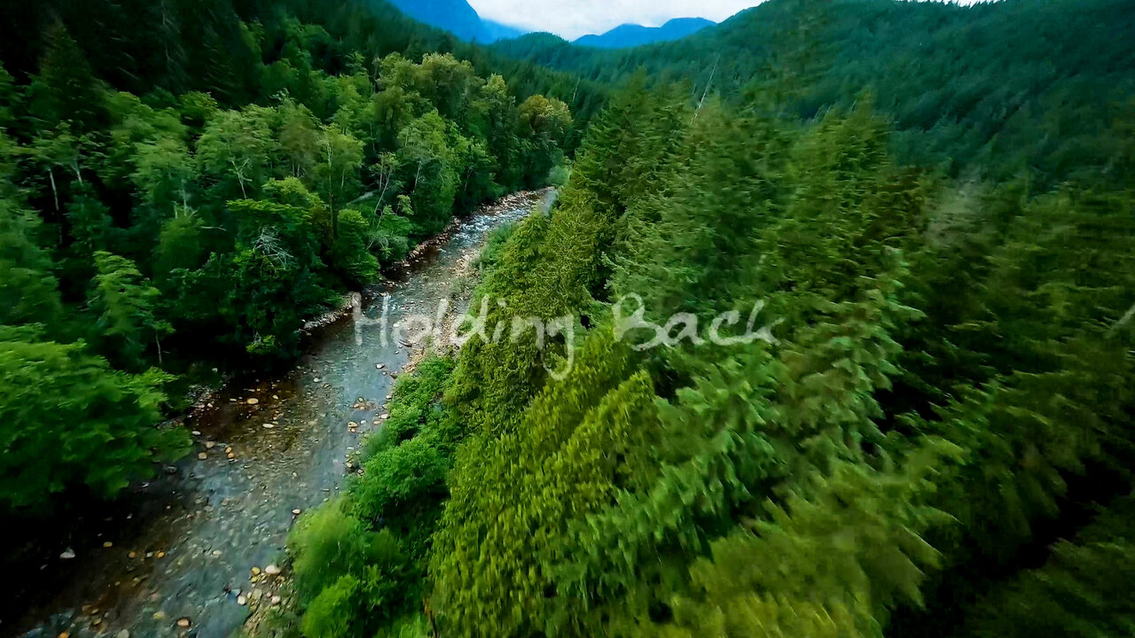 Holding Back (Lyric Video)