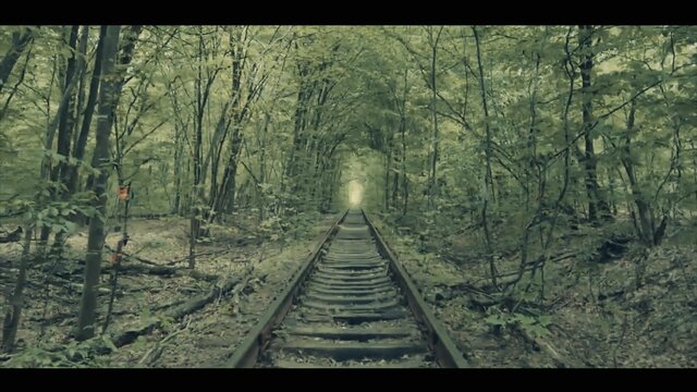 My song for you