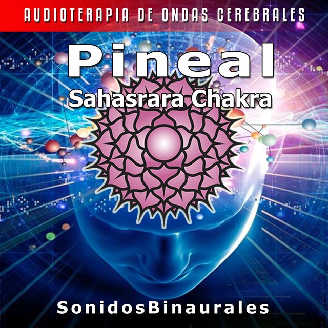 Pineal - Sahasrara Chakra (Audioterapia de Ondas Cerebrales)