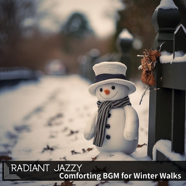 Comforting Bgm for Winter Walks