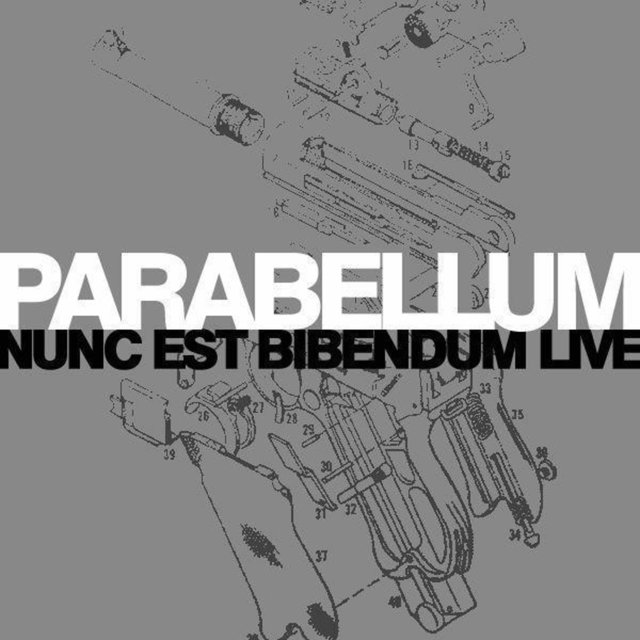 Nunc est bibendum Live
