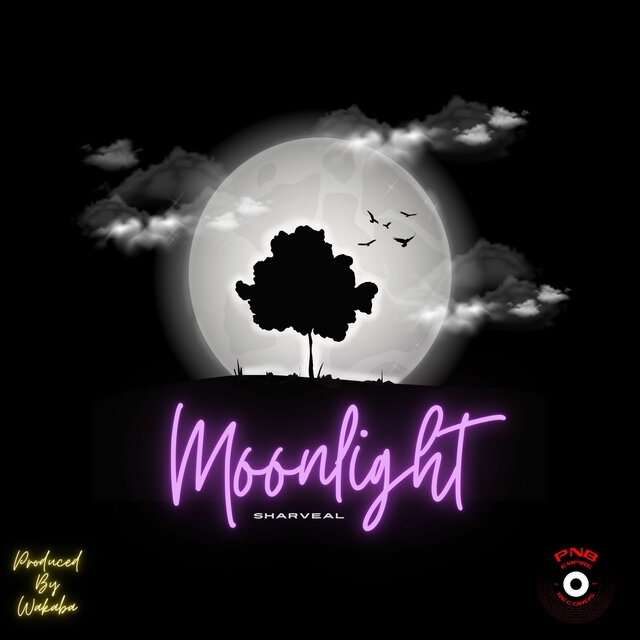 Moonlight