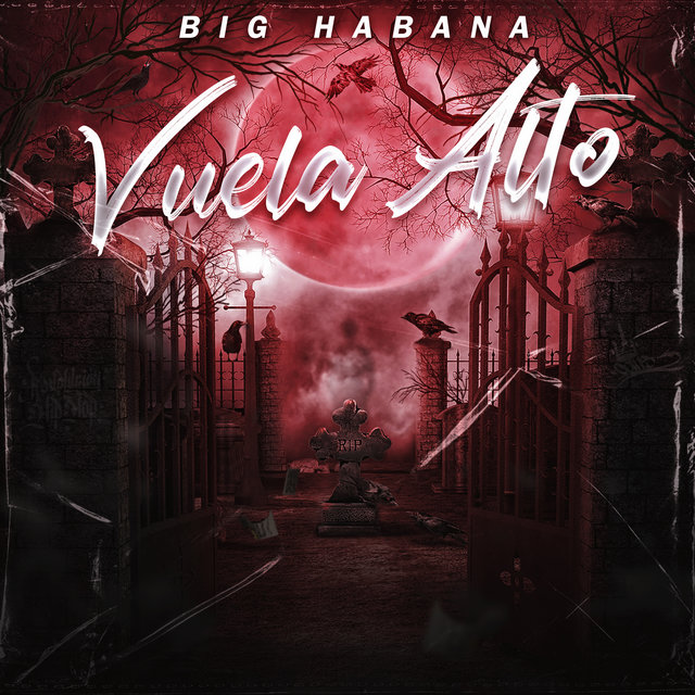Vuela Alto