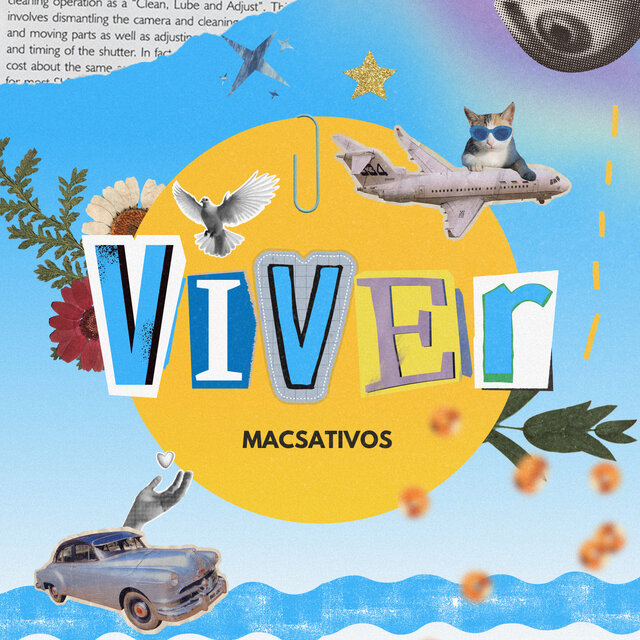 Viver