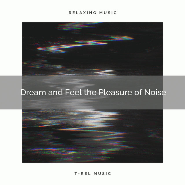 Dream and Feel the Pleasure of Noise