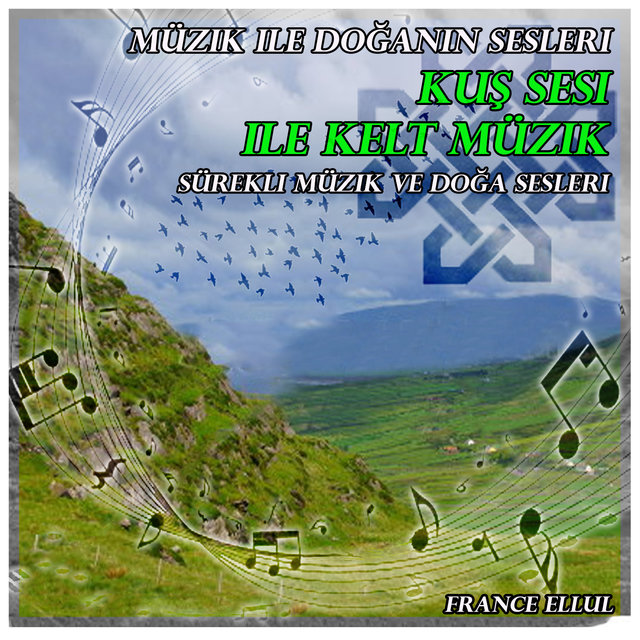 Müzik ile doğanın sesleri: Kuş sesi ile kelt müzik