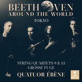 String Quartet No. 13 in B-Flat Major, Op. 130: V. Cavatina (Adagio molto espressivo)