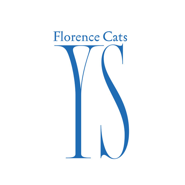 Ys