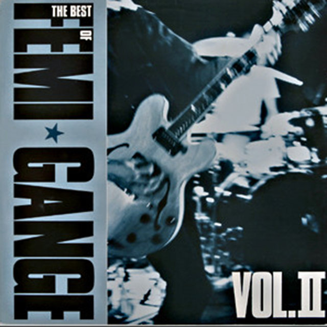 The Best Of Femi Gange Vol II