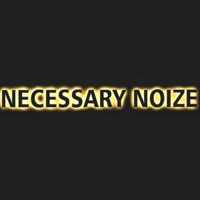 Necessary Noize