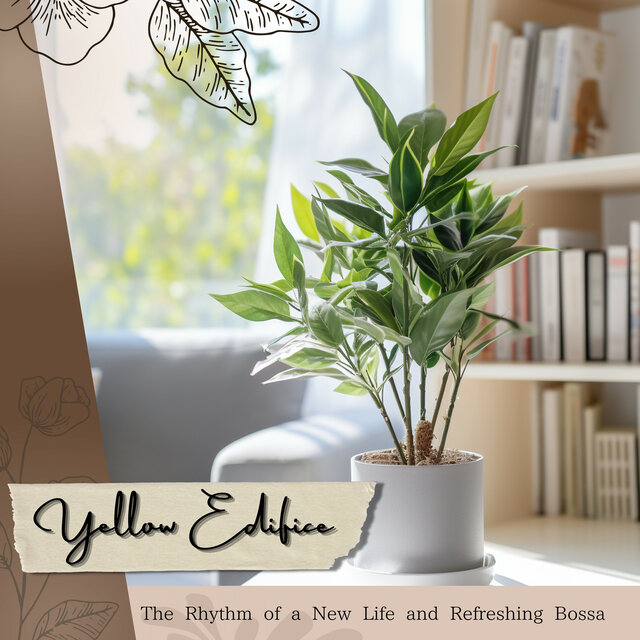 The Rhythm of a New Life and Refreshing Bossa
