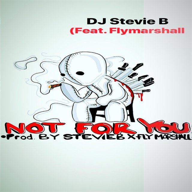 Not for You (feat. Flymarshall)