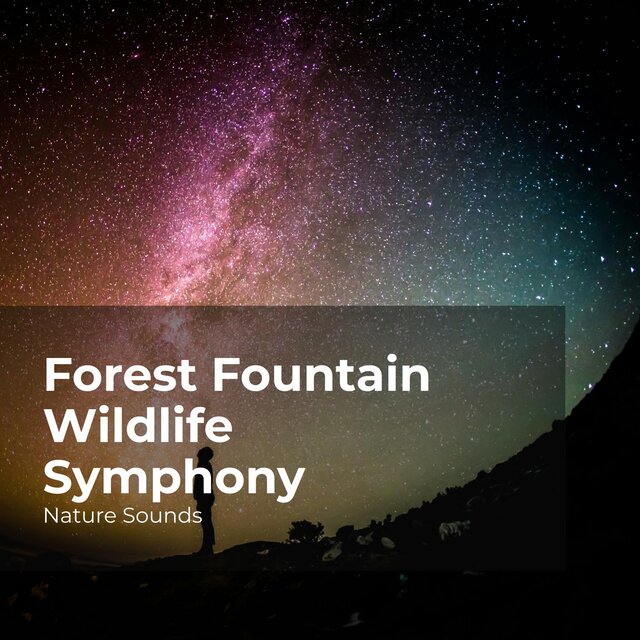 Forest Fountain Wildlife Symphony