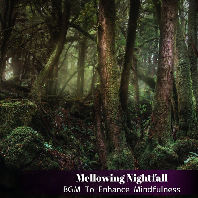 BGM To Enhance Mindfulness