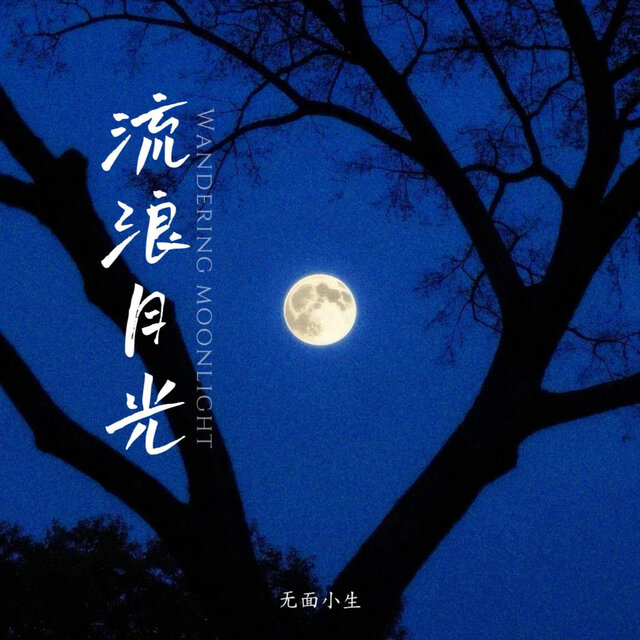 流浪月光