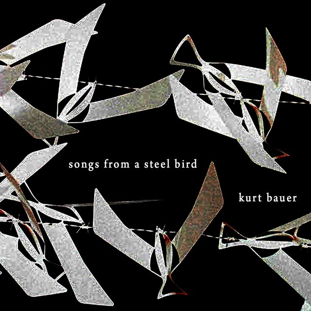 Songs from a Steel Bird