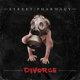 Cover art for album Divorce by Street Pharmacy