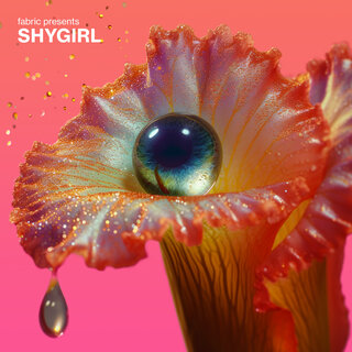 Shygirl - TIDAL