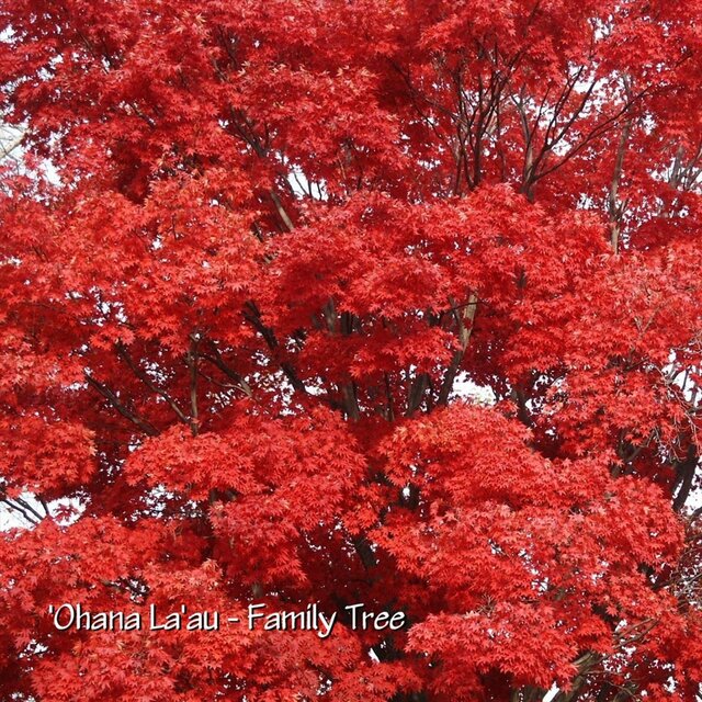 'Ohana La'au - Family Tree