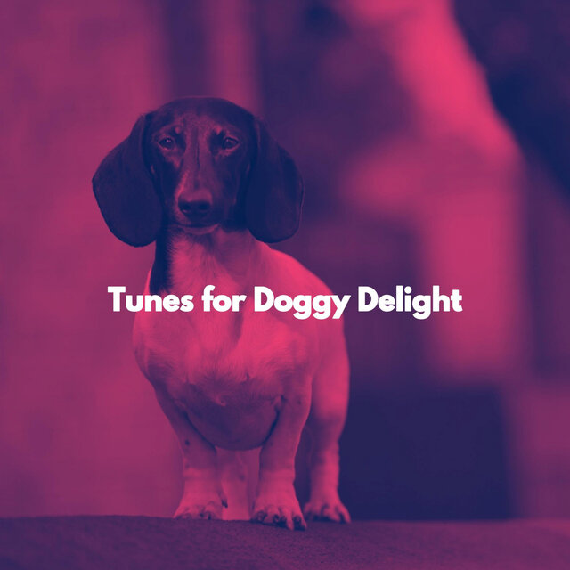 Tunes for Doggy Delight
