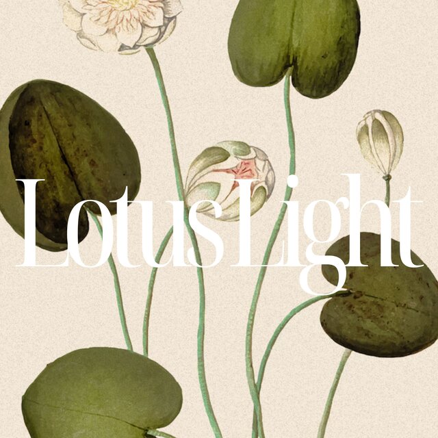 Lotus Light (Blossom Beneath the Surface)