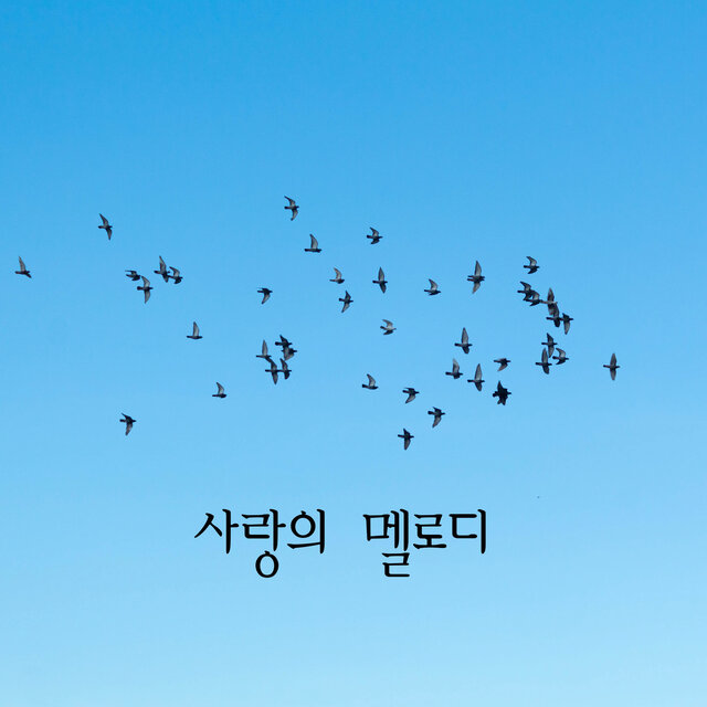 사랑의 멜로디
