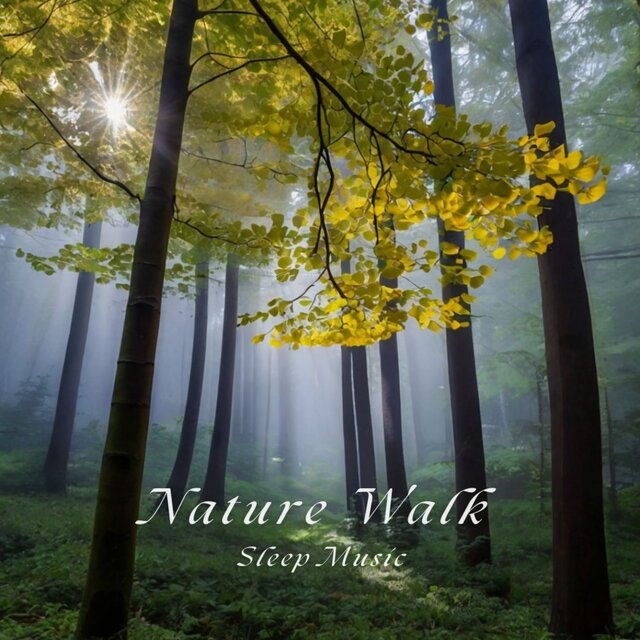 Nature Walk Sleep Music