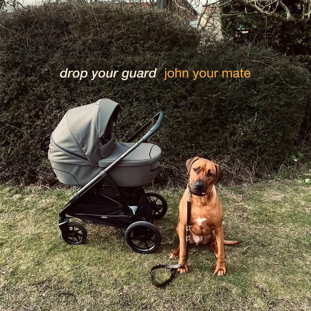 Drop Your Guard