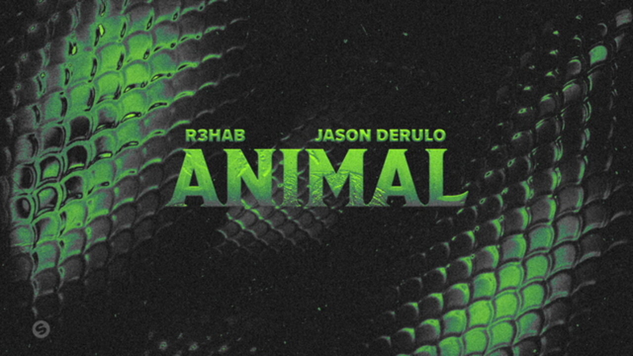 Animal