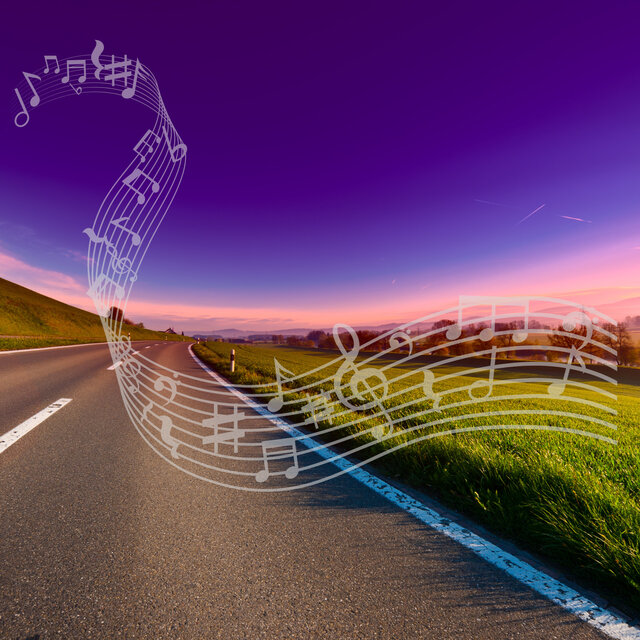 Feline Melodies – Whisker-Twitching Music for Cats