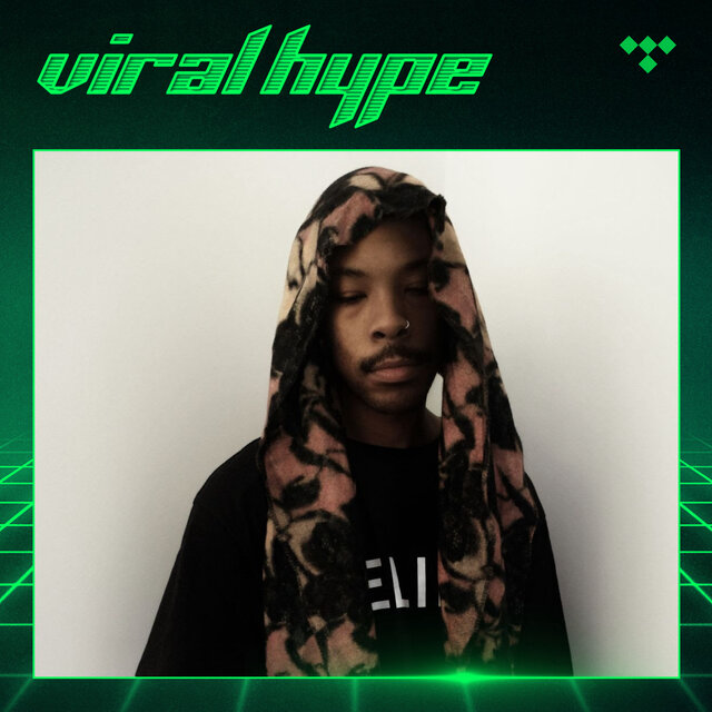 Cover art for album Viral Hype by TIDAL