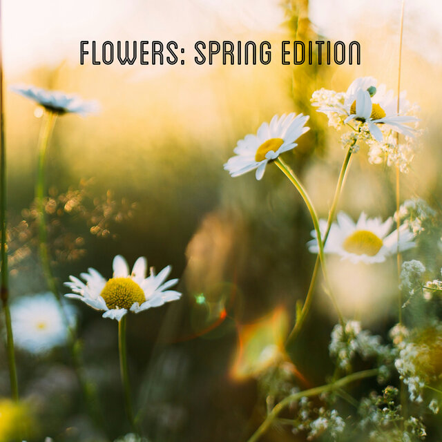 Flowers: Spring Edition