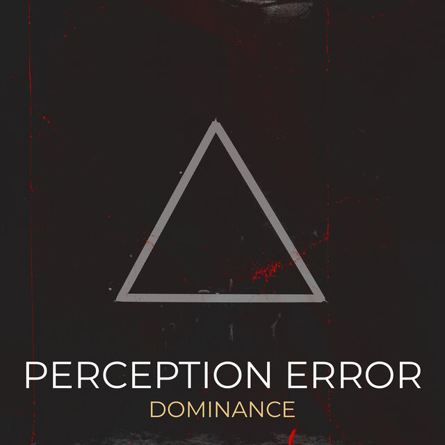 Perception Error