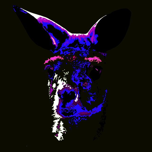 Fauna