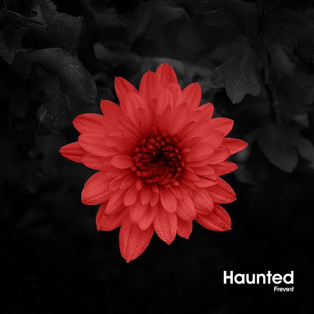 Haunted