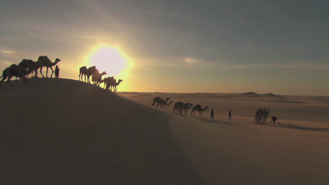 The Silk Road