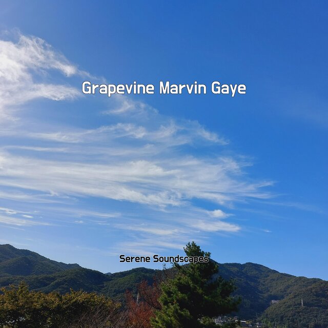 Grapevine Marvin Gaye