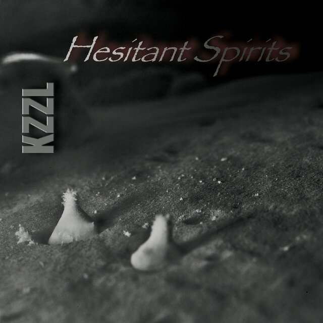 Hesitant Spirits