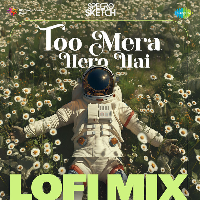 Too Mera Hero Hai (Lofi Mix)