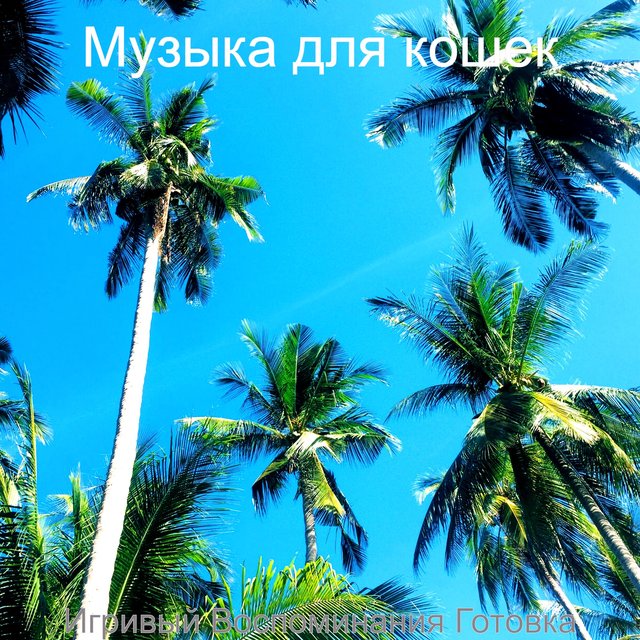 Игривый Воспоминания Готовка