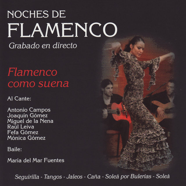 Noches de Flamenco - Flamenco Com Suena