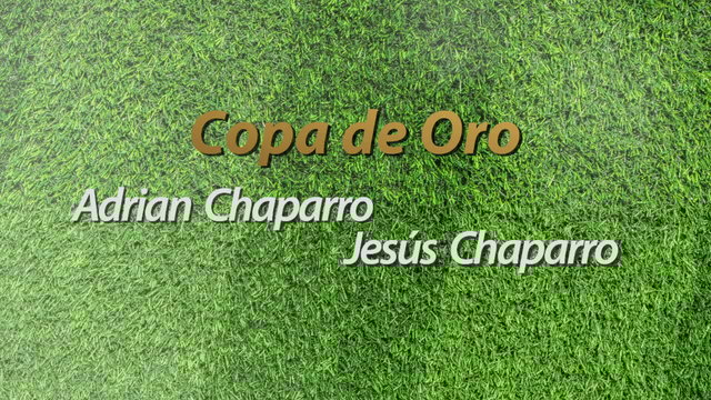 Copa De Oro