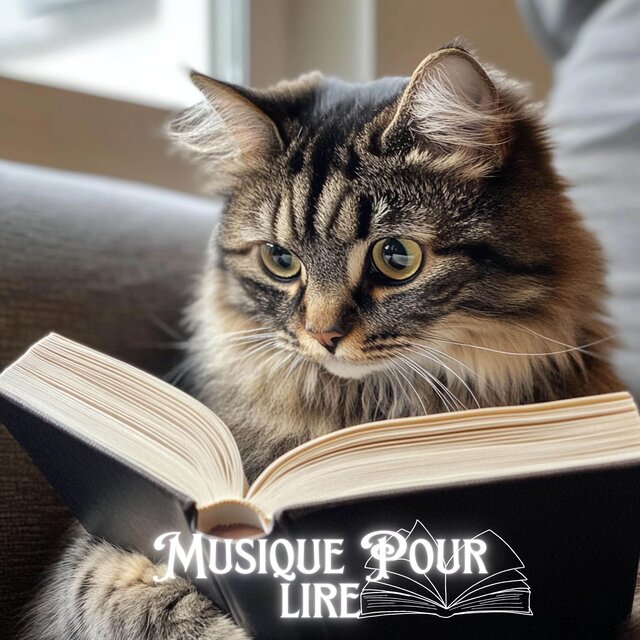 Ambiance Tranquille