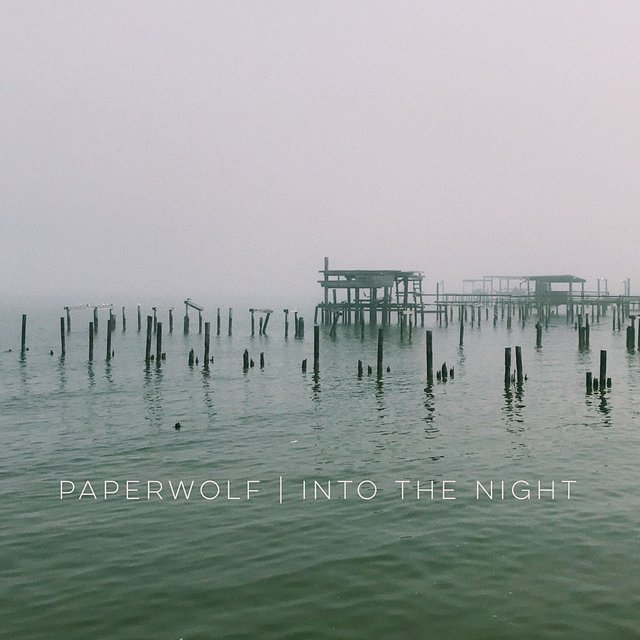 Into the Night