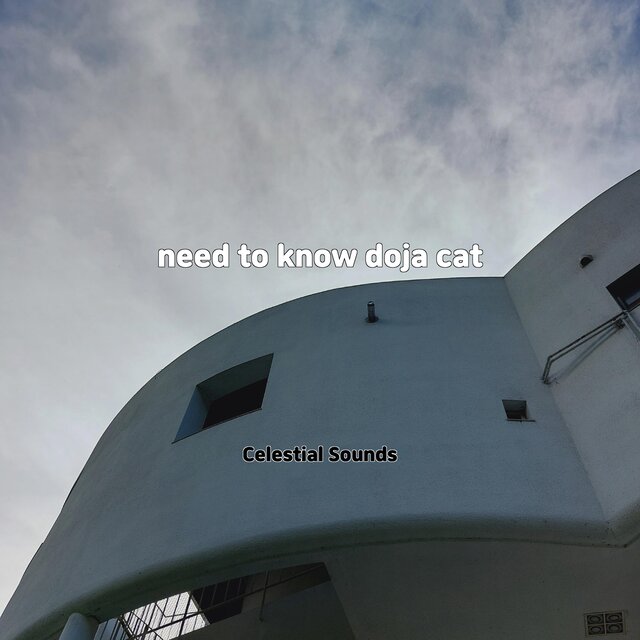 need to know doja cat
