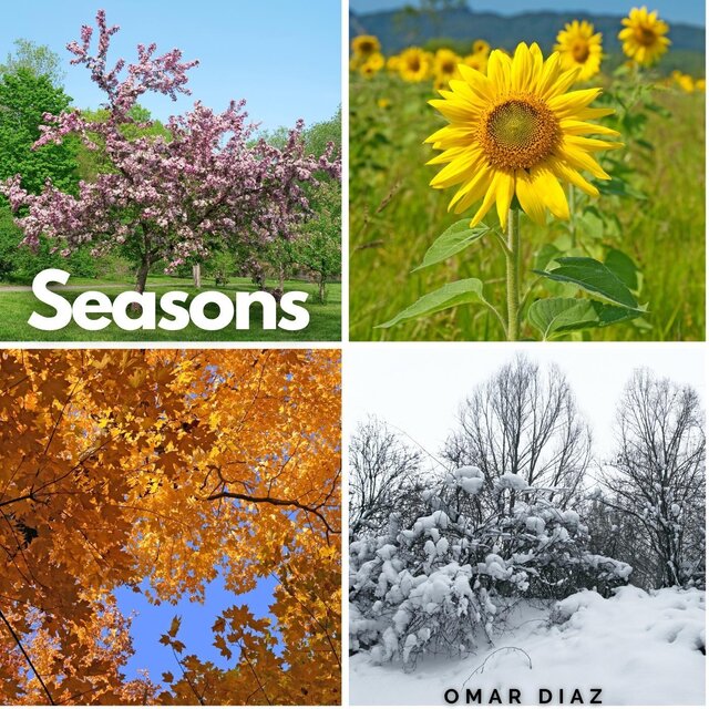Seasons